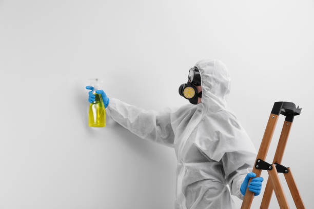 Best Mold Prevention Services in Hendersonville, TN